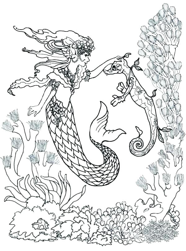 Baby Seahorse Coloring Pages For Adults Images Page Adult S 600x806 Baby Seahorse Coloring Pages For Adults Images Page Adult S