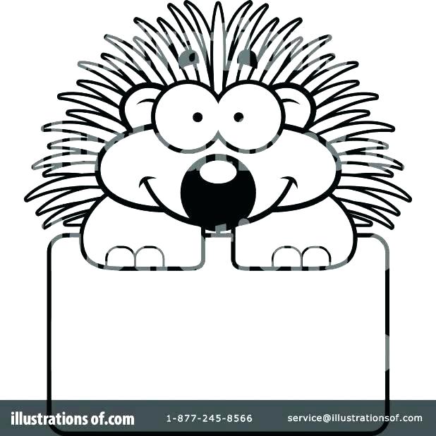 618x618 Free Baby Seal Coloring Pages Cute Harp Porcupine Page Se