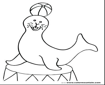 400x322 Baby Seal Coloring Pages Coloring Page Seal Coloring Pages Seal