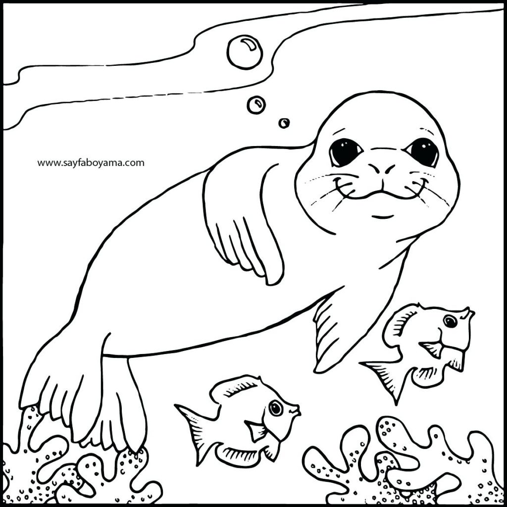 1024x1024 Coloring Page ~ Seal Coloring Page Arctic Seal Coloring Page