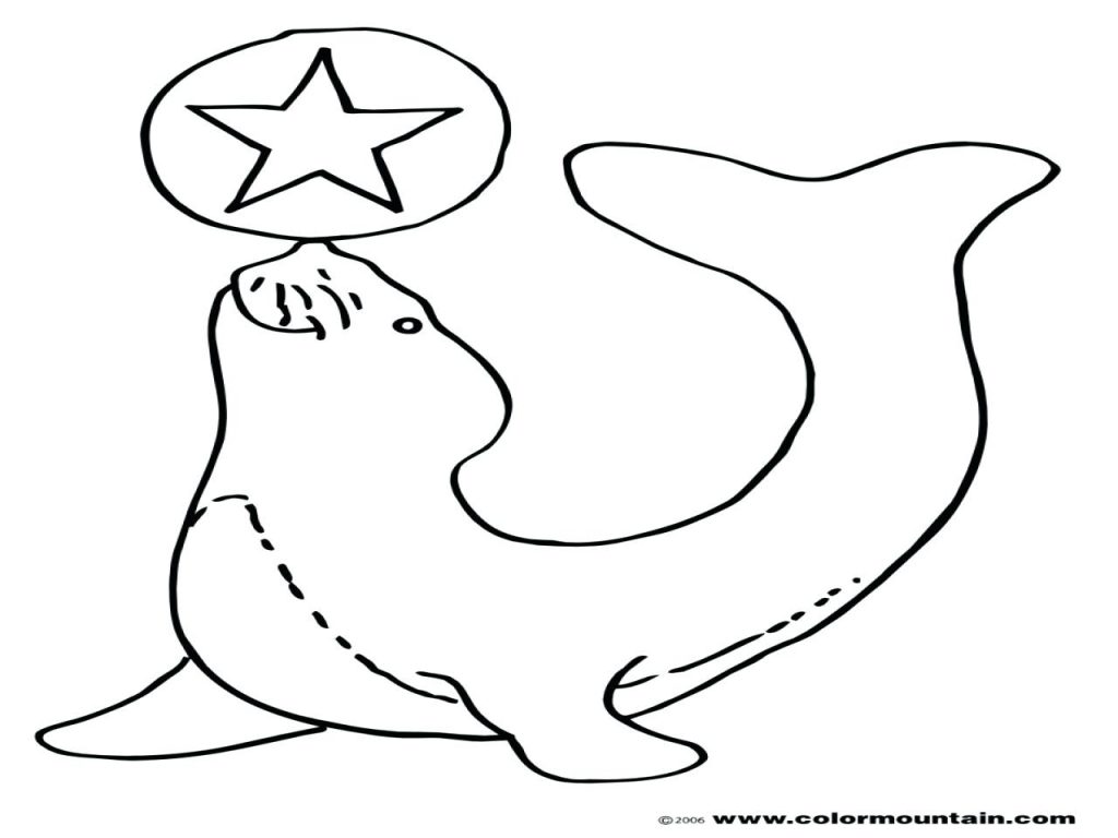 1024x768 Coloring Pages ~ Seal Coloring Pages Baby Cute On Seals Florida