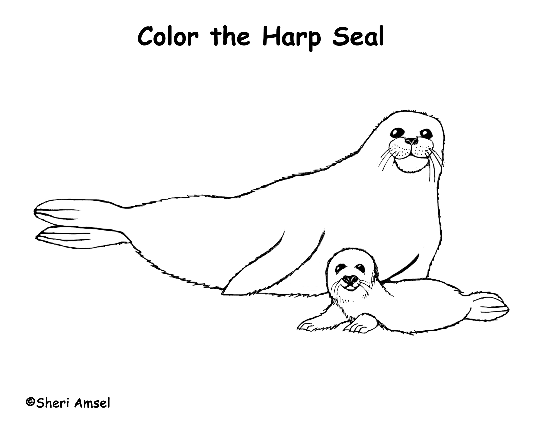 2200x1700 Baby Seal Coloring Pages Free Coloring For Kids 2018