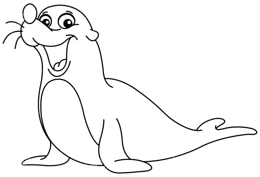 878x600 Baby Seal Coloring Pages Free Printable Seal Coloring Pages Seals