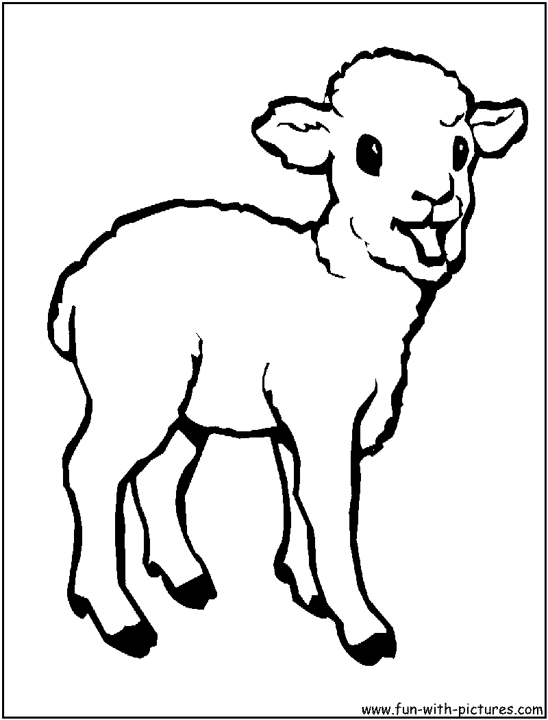 Baby Sheep Coloring Pages