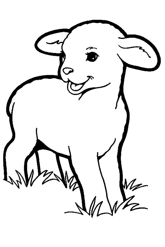 567x850 Neoteric Design Lamb Coloring Pages Printable Preschool Chop
