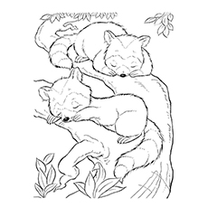 Baby Sleeping Coloring Pages