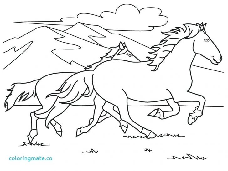 728x546 Simba Sleep Coloring Page Pages For Kids Lion King Style Online