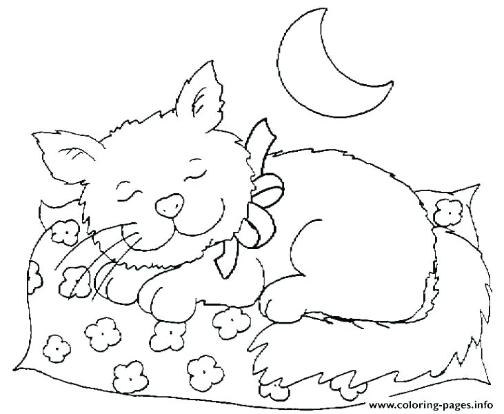 731x600 Baby Sleeping Beauty Coloring Pages Aurora Coloring Page Coloring