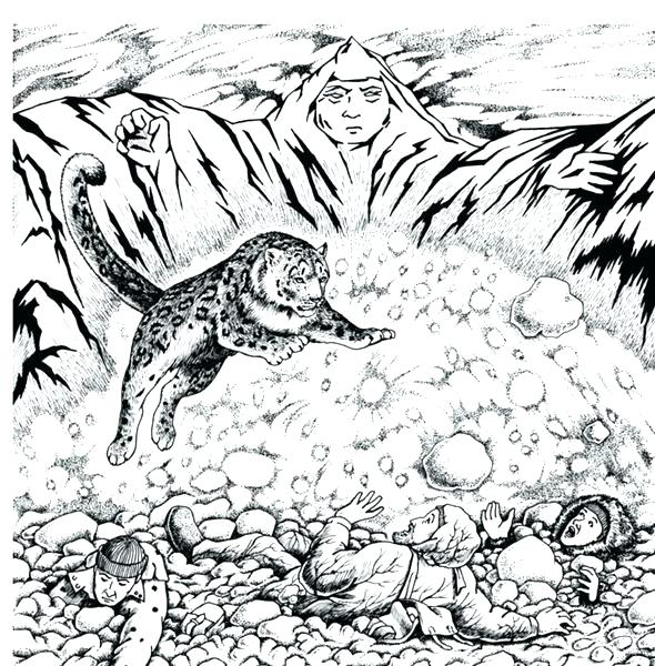 590x600 Leopard Coloring Pages For Adults Snow Leopard Coloring Pages