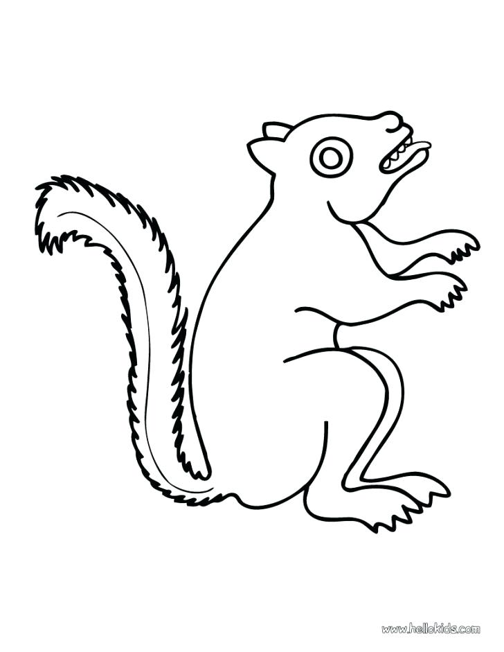Coloring Pages Of Squirrels Drawing A Squirrel Coloring Page 728x941 Coloring Pages Of Squirrels Drawing A Squirrel Coloring Page