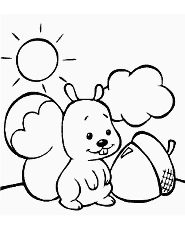 Cute Baby Squirrel And Oak Nut Coloring Page 600x800 Cute Baby Squirrel And Oak Nut Coloring Page