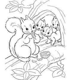 Look! The Mommy Is Feeding Her Babies Squirrels With Nuts. What 236x270 Look! The Mommy Is Feeding Her Babies Squirrels With Nuts. What