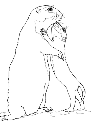 Prairie Dog Mother With Baby Coloring Page 360x480 Prairie Dog Mother With Baby Coloring Page