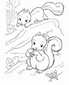 Wild Animal Coloring Pages Squirrel Family Coloring Page 236x289 Wild Animal Coloring Pages Squirrel Family Coloring Page