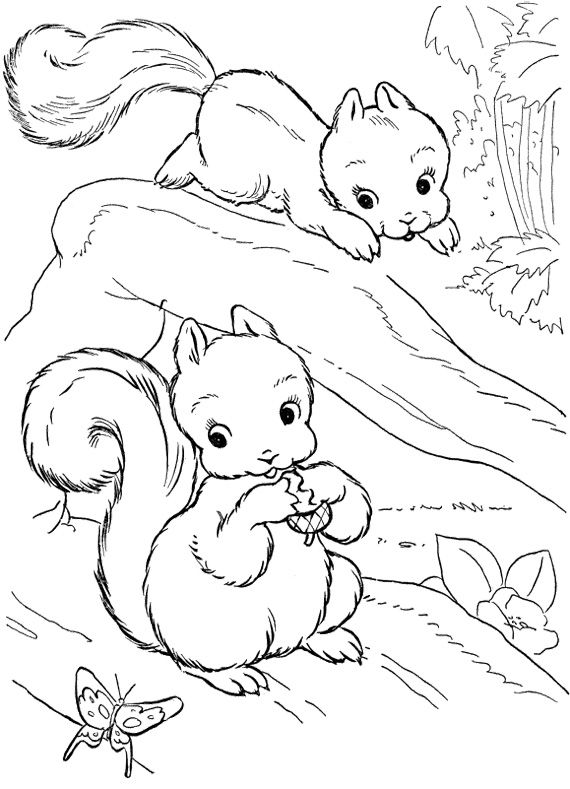 Baby Squirrel Coloring Pages Pattern Design Ideas 570x789 Baby Squirrel Coloring Pages Pattern Design Ideas