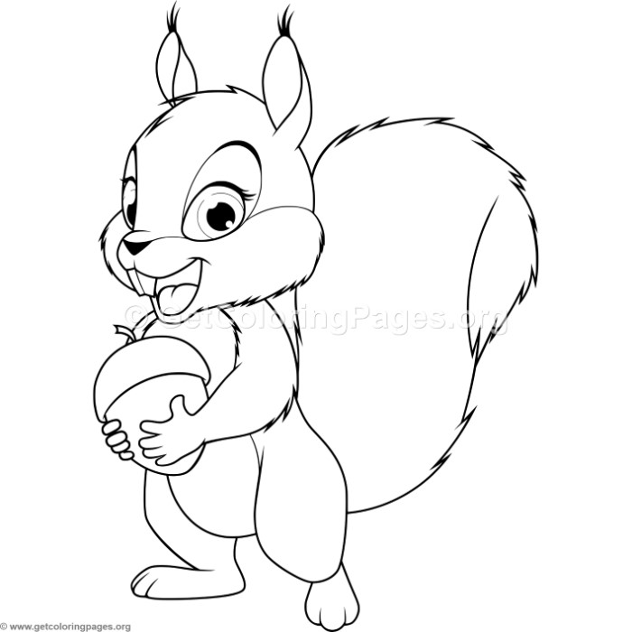 Baby Squirrel Coloring Pages 700x700 Baby Squirrel Coloring Pages