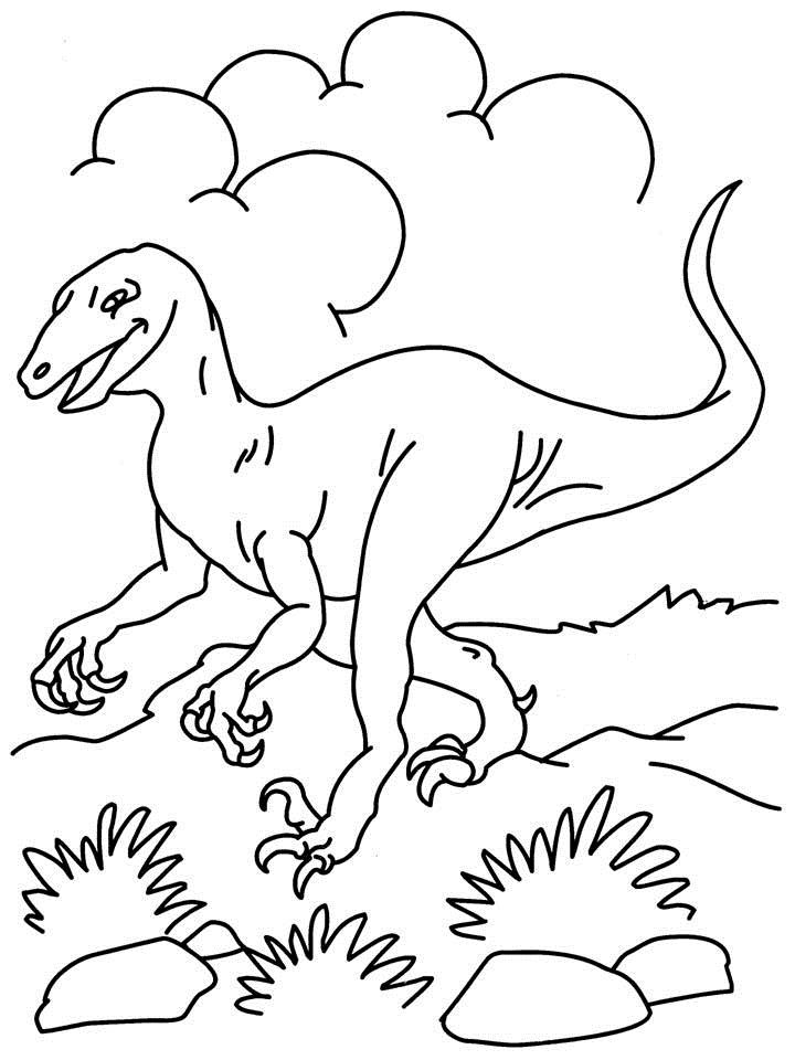 720x960 T. Rex Coloring Pages 360coloringpages