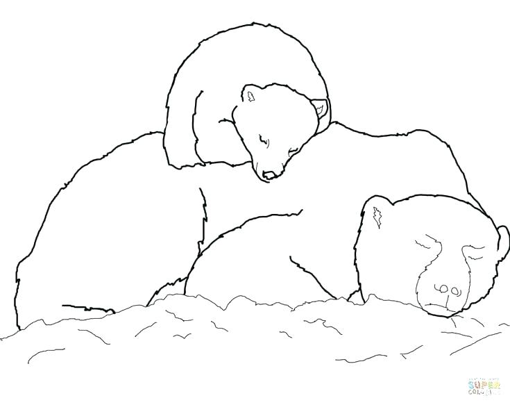 Bear Cub Coloring Pages Cute Bear Coloring Pages Pooh Bear 735x583 Bear Cub Coloring Pages Cute Bear Coloring Pages Pooh Bear