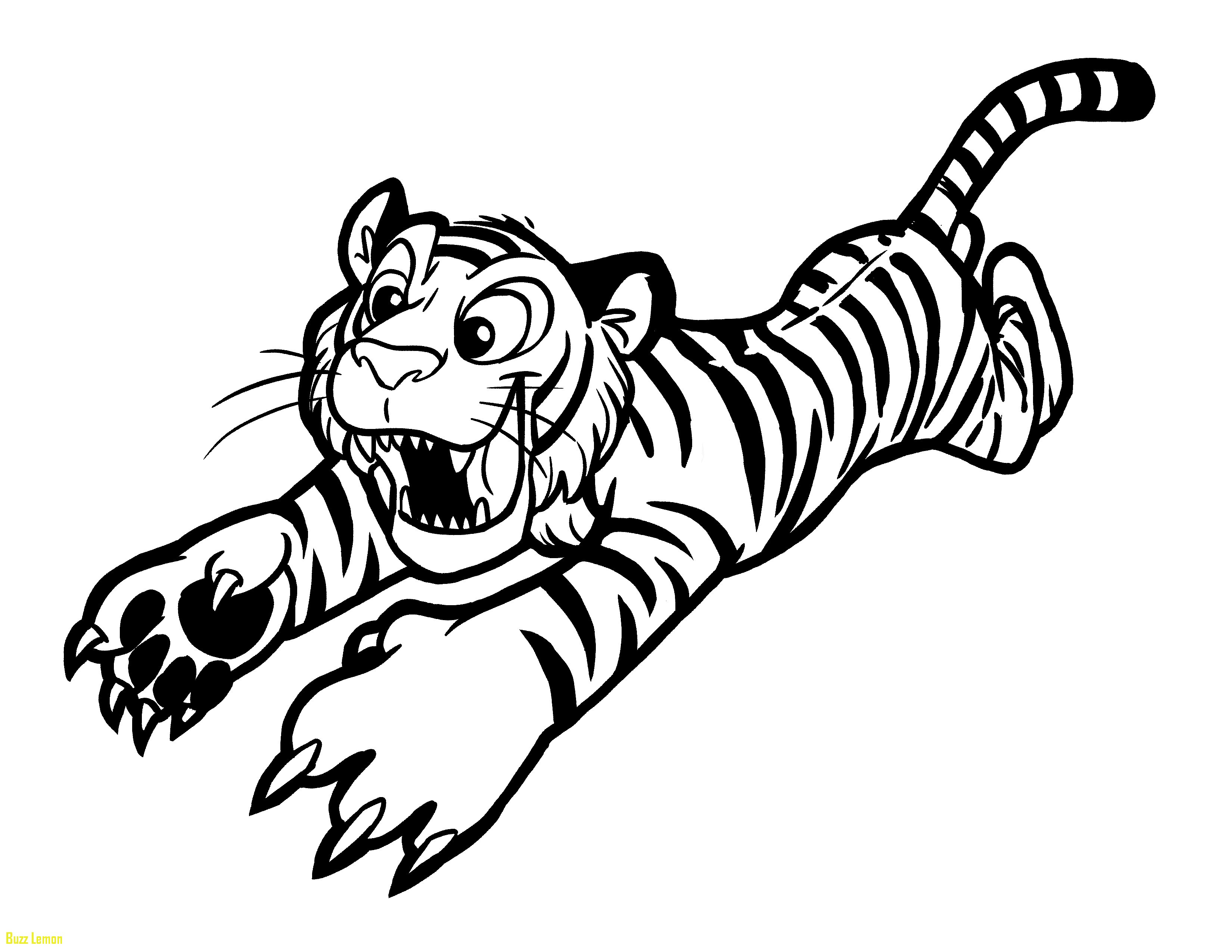 3300x2550 Baby Tigers Coloring Pages Wagashiya