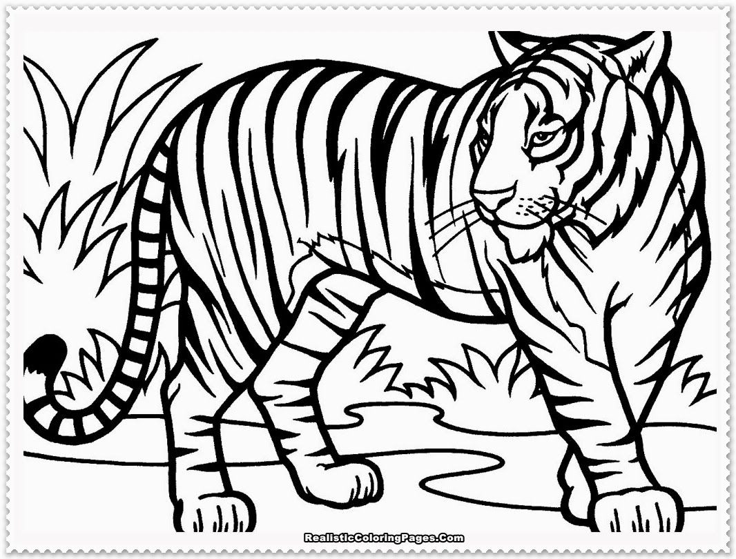 1066x810 Cute Baby Tiger Coloring Pages Home Striking Of Tigers