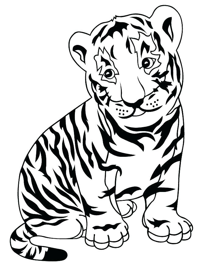 670x867 Baby Tiger Coloring Pages Cliptext.co