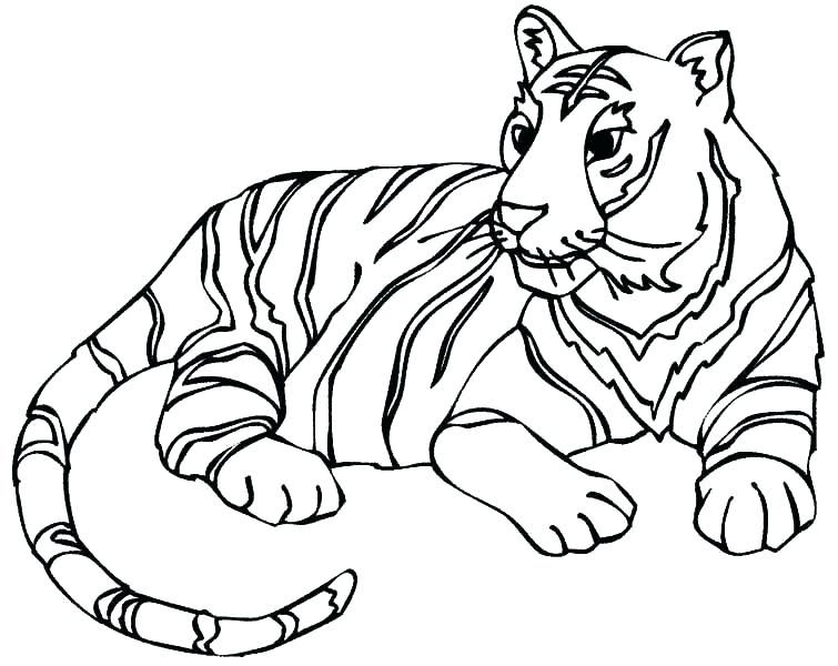 755x600 Baby Tiger Coloring Pages