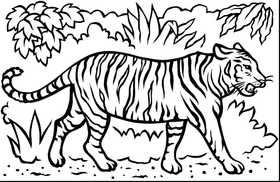 Tigger Coloring Pages Baby Coloring Pages Baby Coloring Disney 974x634 Tigger Coloring Pages Baby Coloring Pages Baby Coloring Disney