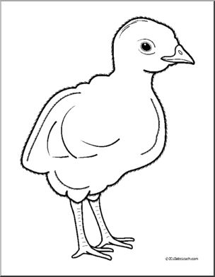 Clip Art Baby Animals Turkey Poult (Coloring Page) I Abcteach 304x392 Clip Art Baby Animals Turkey Poult (Coloring Page) I Abcteach