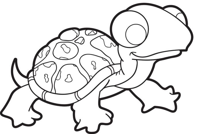 Cute Turtle Coloring Pages 700x466 Cute Turtle Coloring Pages