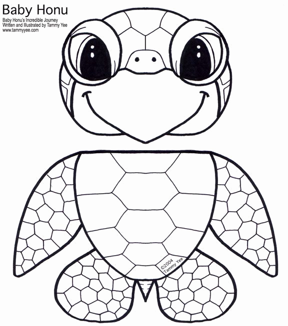 Image Result For Best Outline Printable Of Sea Turtle Coloring 576x653 Image Result For Best Outline Printable Of Sea Turtle Coloring