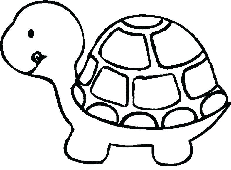 Baby Turtle Coloring Pages at GetColorings.com | Free printable ...