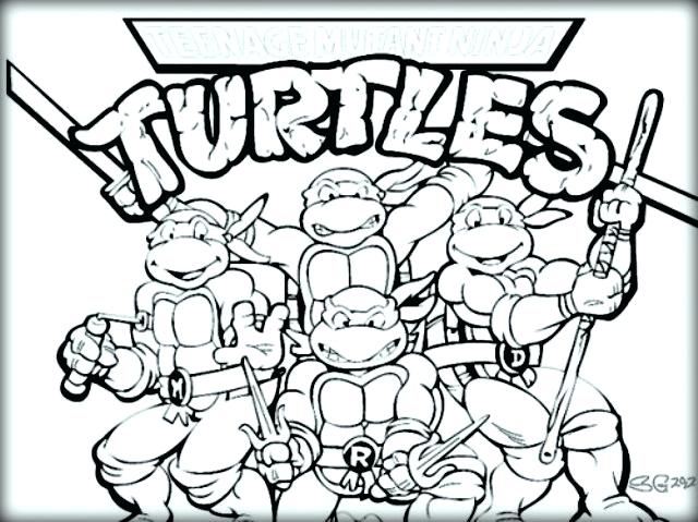 Baby Turtle Coloring Pages at GetColorings.com | Free printable ...