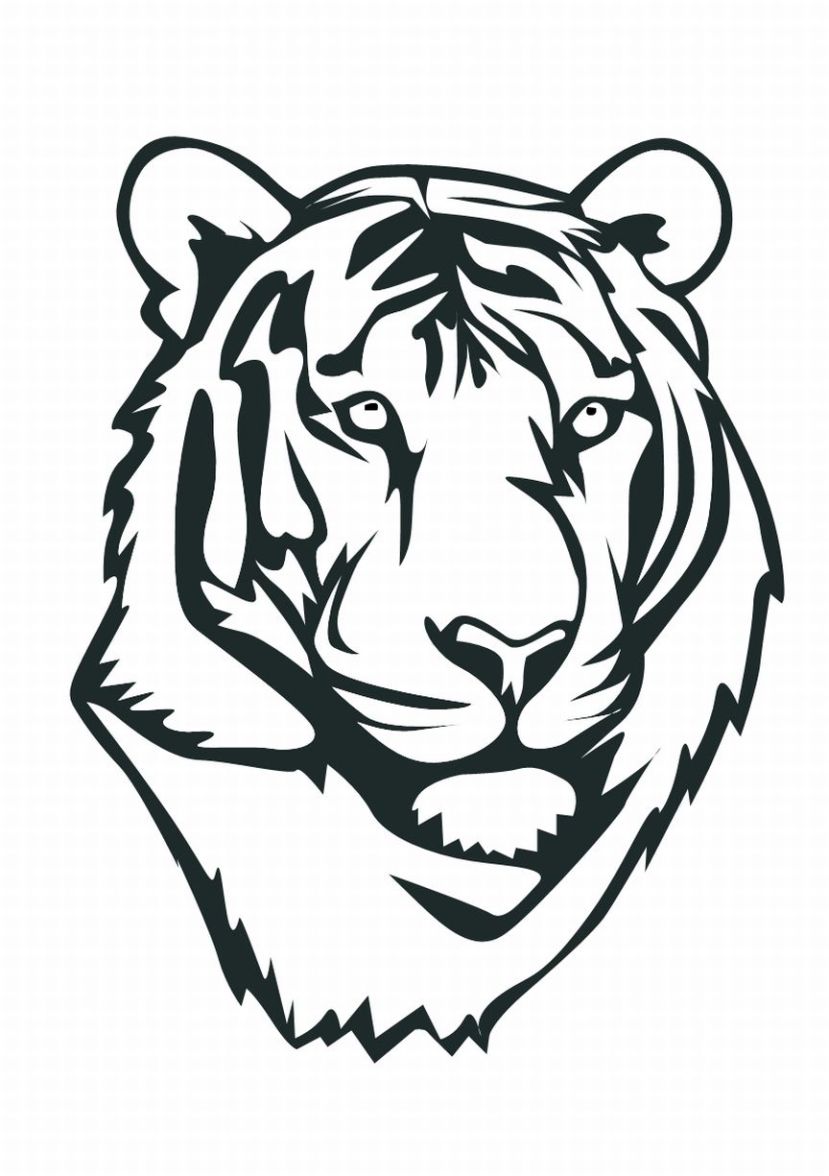 Baby White Tiger Face Coloring Pages For Kids 829x1176 Baby White Tiger Face Coloring Pages For Kids