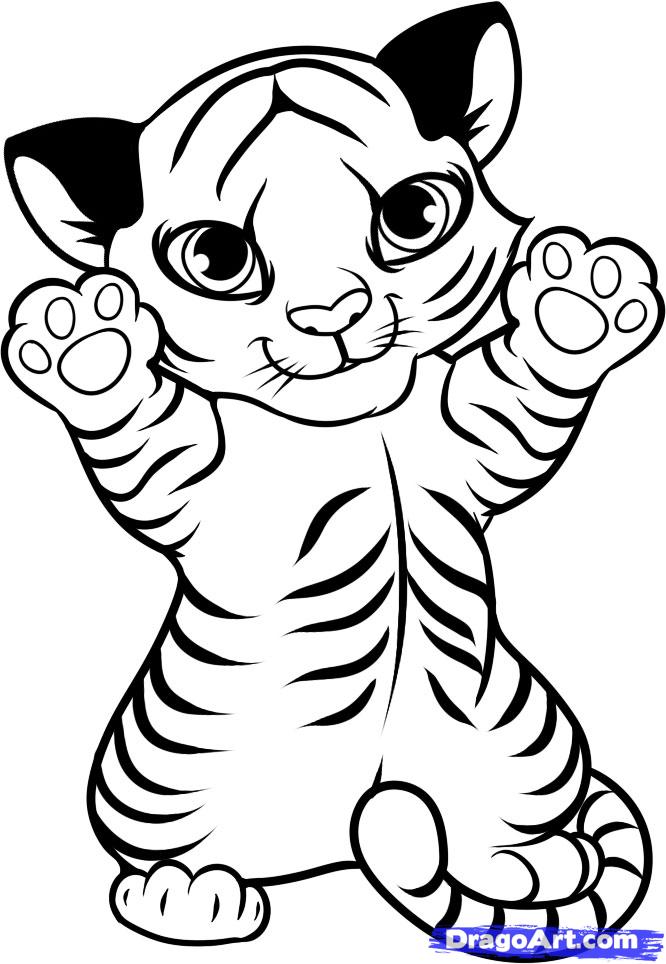 Baby Tiger Coloring Pages Ba Tiger Coloring Pages Printable 666x964 Baby Tiger Coloring Pages Ba Tiger Coloring Pages Printable