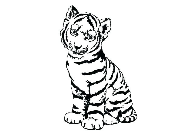 Printable Tiger Coloring Pages Printable Baby Tiger Coloring Pages 600x450 Printable Tiger Coloring Pages Printable Baby Tiger Coloring Pages