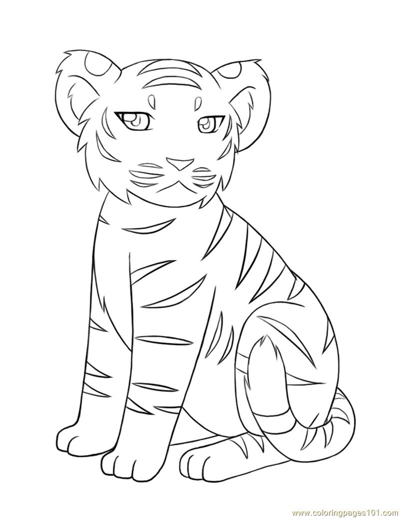 Revisited Coloring Pages Of Baby Tigers Tiger 800x1035 Revisited Coloring Pages Of Baby Tigers Tiger