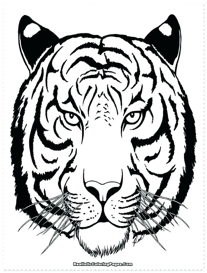 Tiger Face Coloring Pages Baby White Tiger Face Coloring Page 728x958 Tiger Face Coloring Pages Baby White Tiger Face Coloring Page