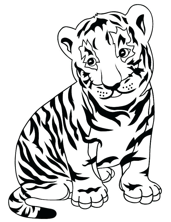 Tiger Picture To Color Baby Tiger Coloring Pages Baby Tiger 670x867 Tiger Picture To Color Baby Tiger Coloring Pages Baby Tiger