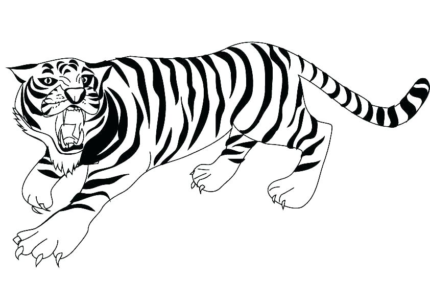 Baby Tiger Coloring Pages Baby Tiger Coloring Cute Tiger Coloring 842x595 Baby Tiger Coloring Pages Baby Tiger Coloring Cute Tiger Coloring