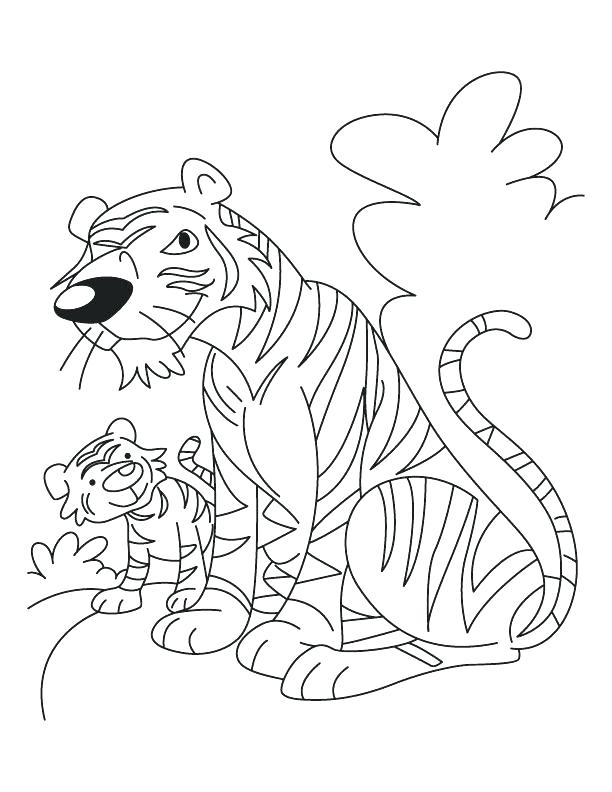 White Tiger Coloring Pages 612x792 White Tiger Coloring Pages