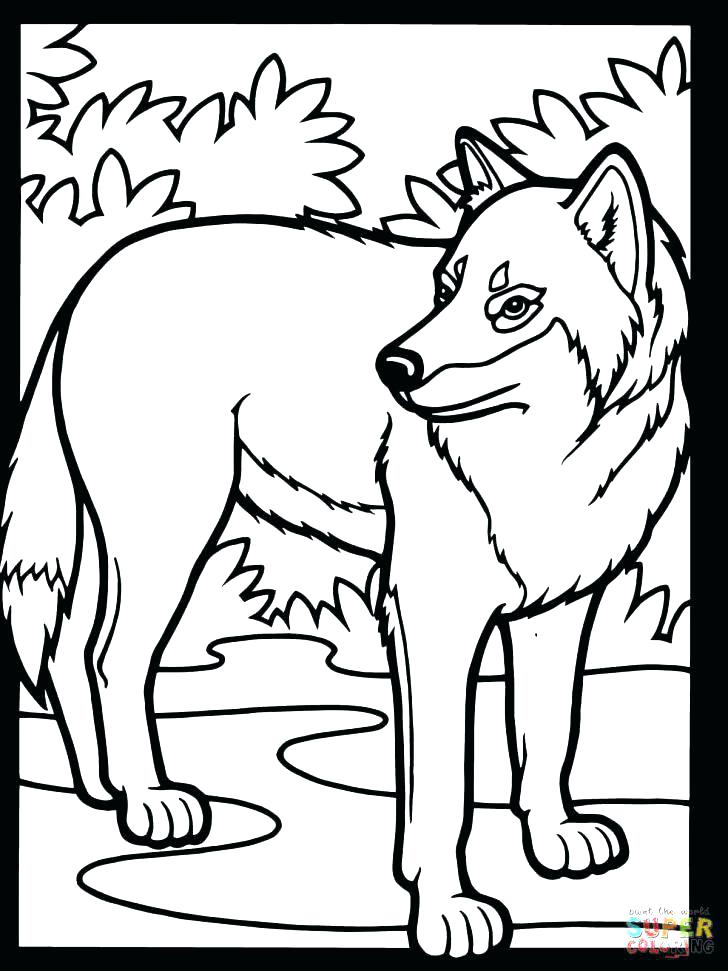 728x971 Wolf Coloring Pages High Definition Coloring Wallpaper Coloring