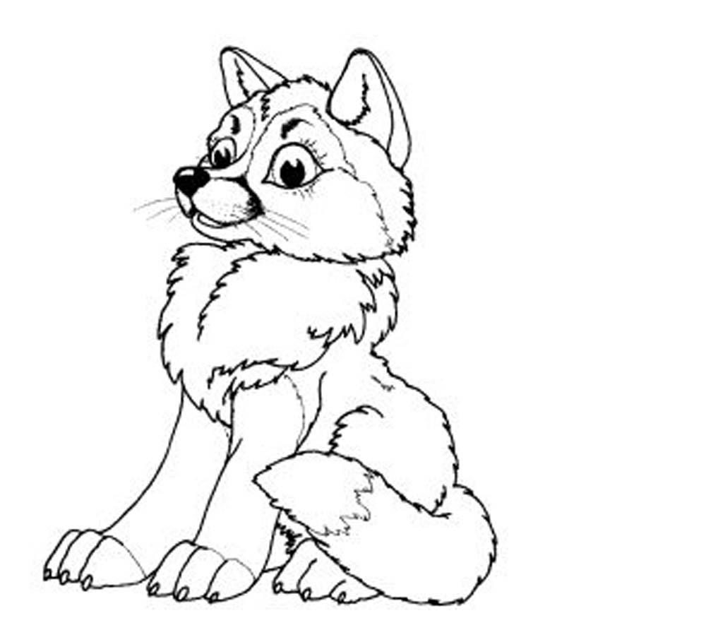 1000x875 Baby Wolf Coloring Pages