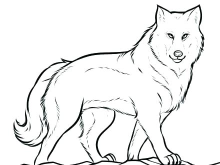 440x330 Wolf Coloring Pages Hard Free Wolves Coloring Pages For Adults