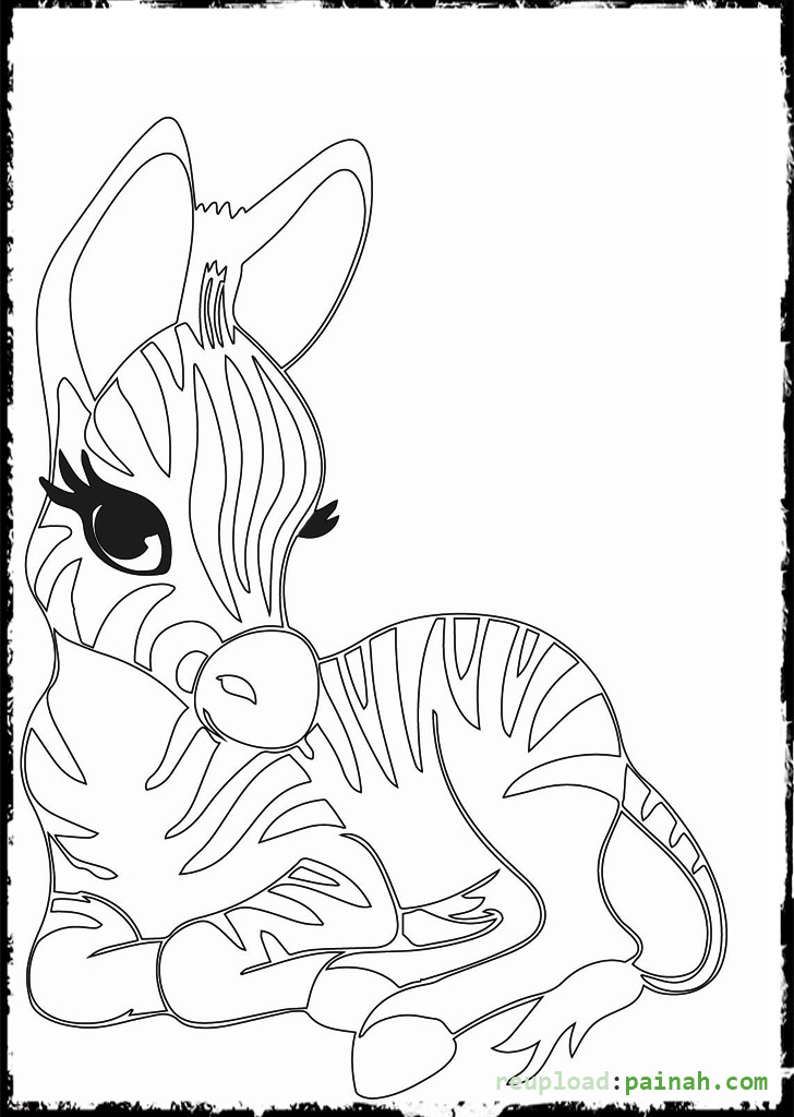 728x1024 Cute Baby Zebra Coloring Page