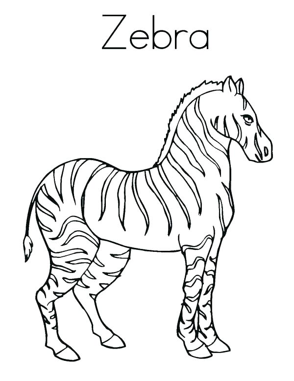 600x776 Zebra Coloring Pictures Zebra Coloring Page For Kids Zebra