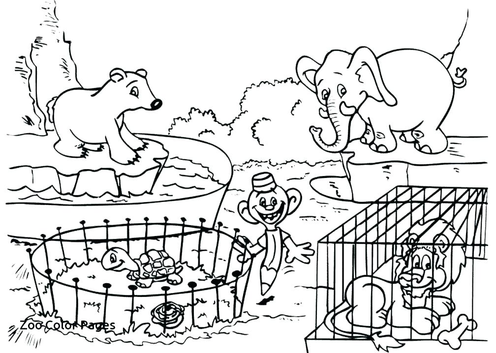 1008x718 Zoo Animal Coloring Pages Also Animal Pictures To Color Baby Zoo