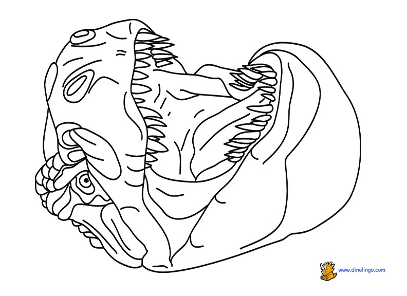Free Printable Dinosaur Coloring Pages Beautiful Pin By Brooke 792x576 Free Printable Dinosaur Coloring Pages Beautiful Pin By Brooke