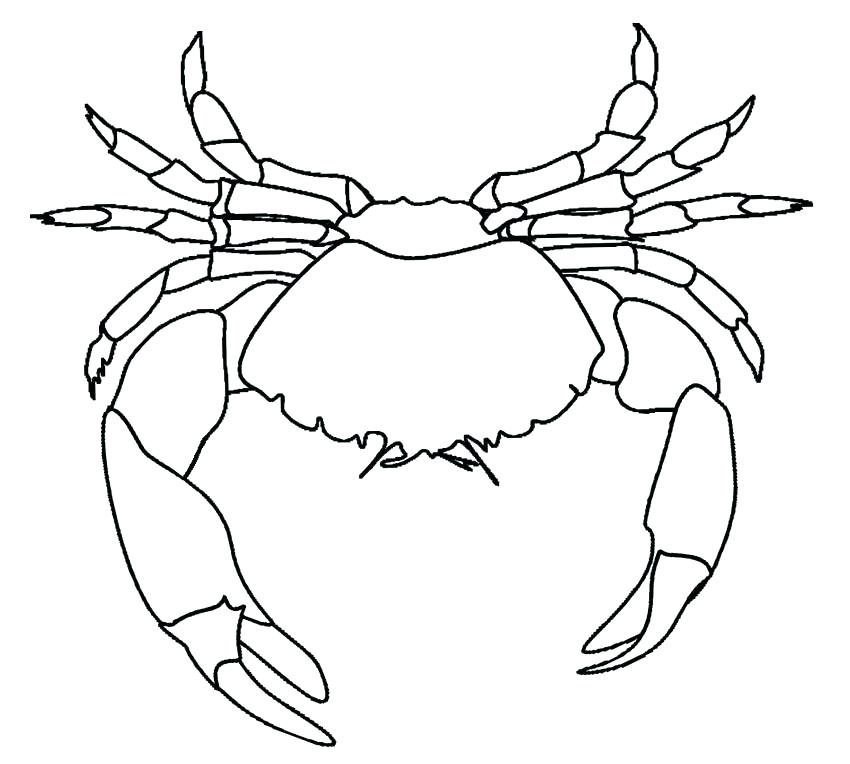 Ariel And Sebastian Coloring Pages Free Printable Sheets Color 850x764 Ariel And Sebastian Coloring Pages Free Printable Sheets Color