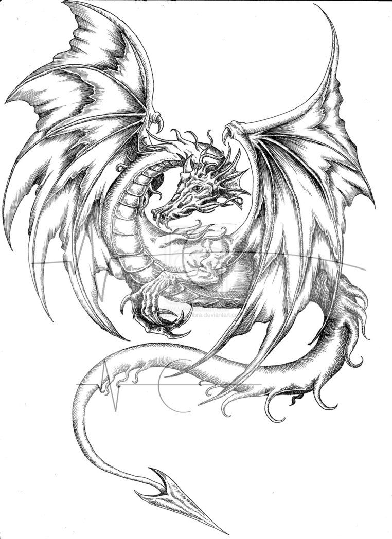Chinese dragon drawings Medieval Dragon Coloring Pages 762x1048 Chinese dragon drawings Medieval Dragon Coloring Pages