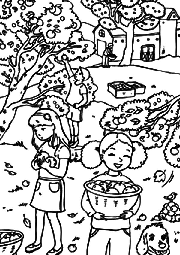 Three Little Girl Harvests Backyard Orange Coloring Pages 600x849 Three Little Girl Harvests Backyard Orange Coloring Pages